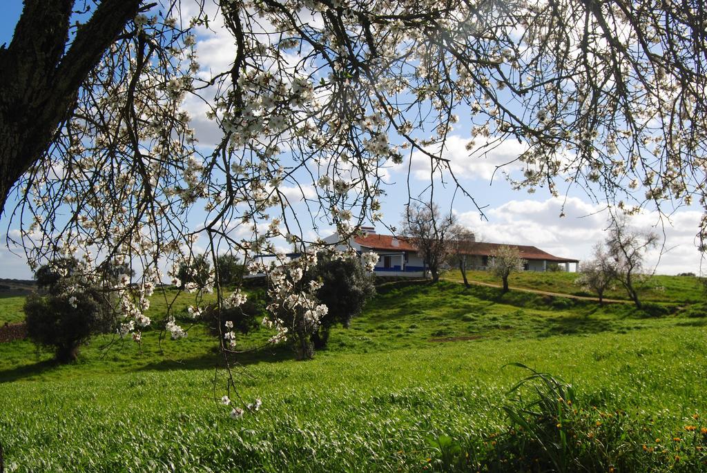 Herdade Dos Mestres Terena Exteriér fotografie