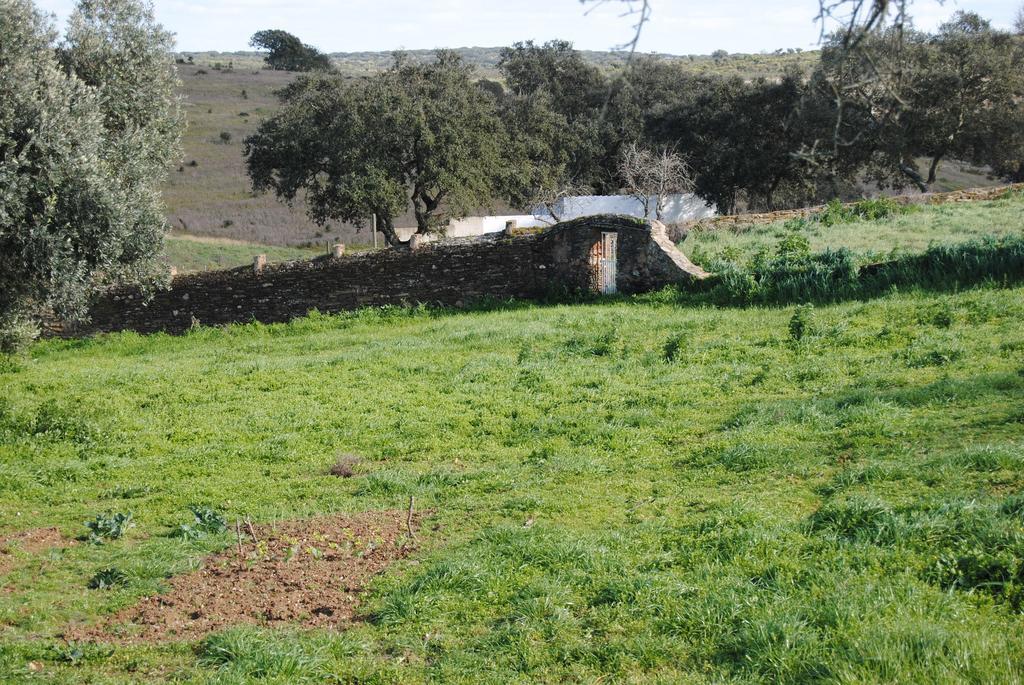 Herdade Dos Mestres Terena Exteriér fotografie